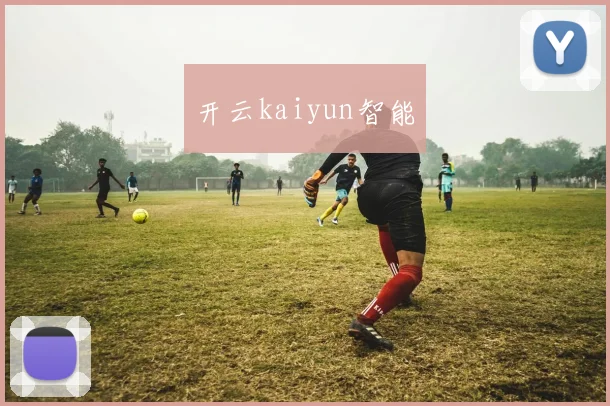 开云kaiyun智能