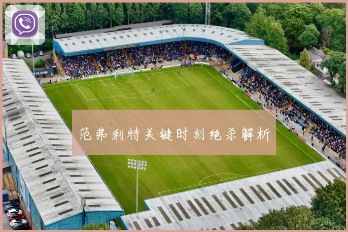 范弗利特关键时刻绝杀解析