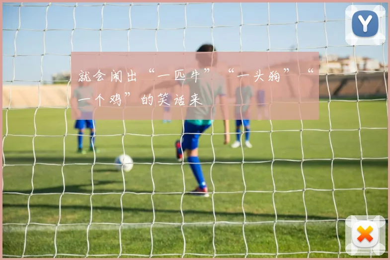 就会闹出“一匹牛”“一头狗”“一个鸡”的笑话来