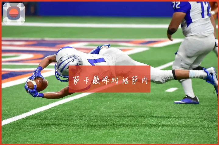 萨卡巅峰对话萨内