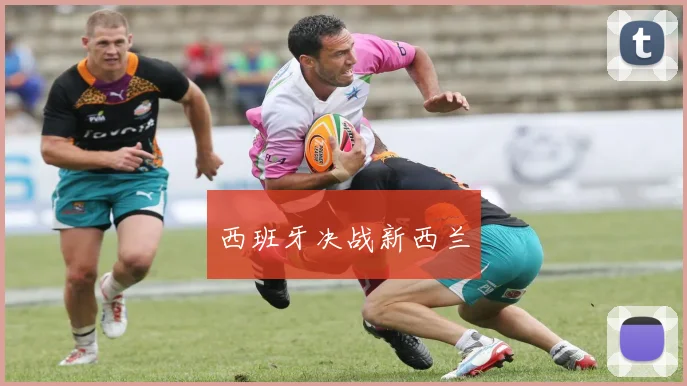 西班牙决战新西兰