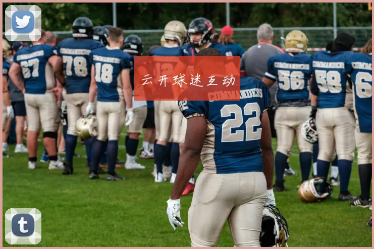 云开球迷互动