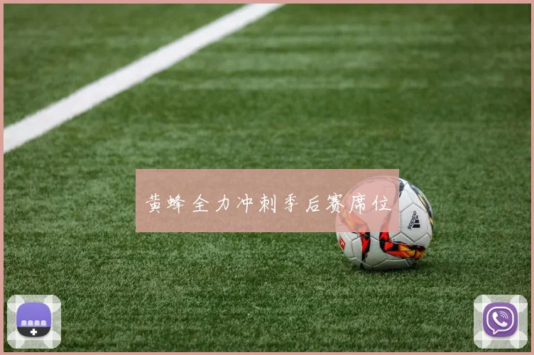 黄蜂全力冲刺季后赛席位
