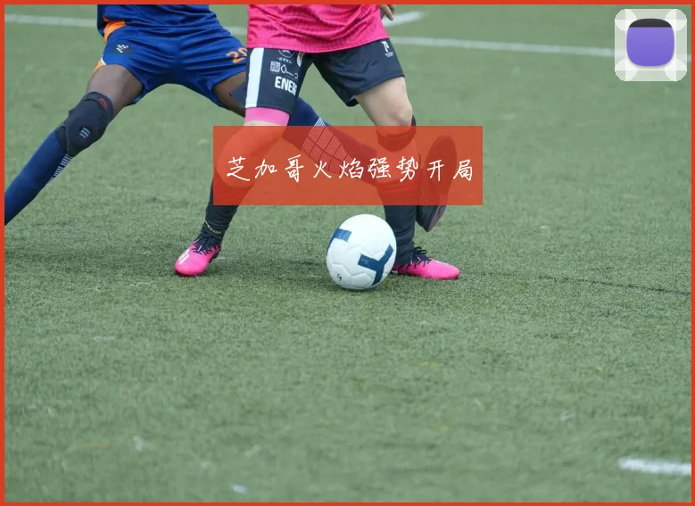 芝加哥火焰强势开局