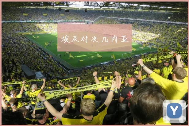 埃及对决几内亚