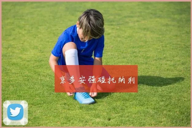 京多安强碰托纳利