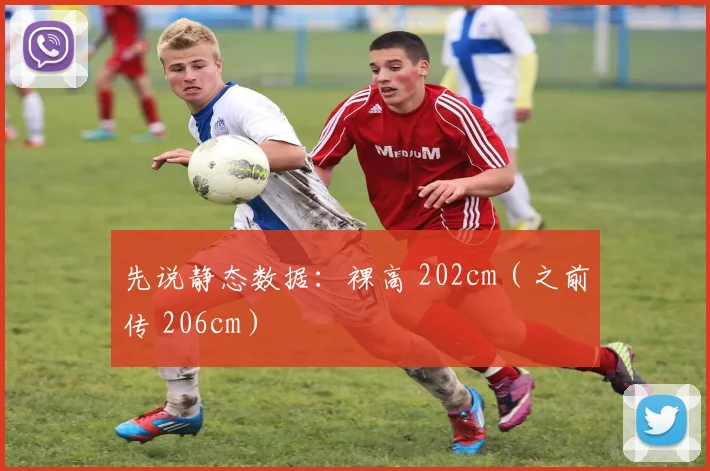 先说静态数据：裸高 202cm（之前传 206cm）