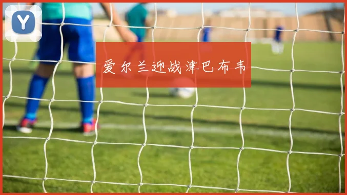 爱尔兰迎战津巴布韦