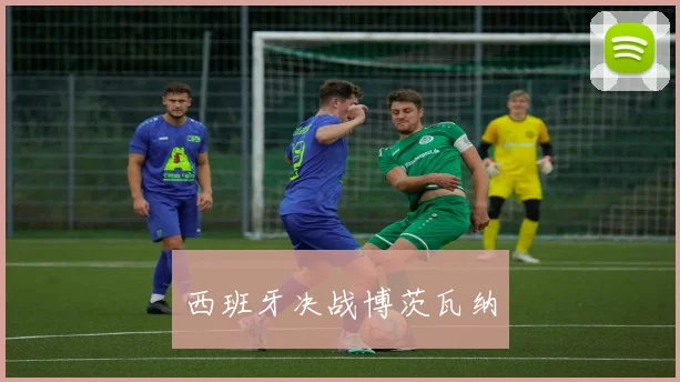 西班牙决战博茨瓦纳