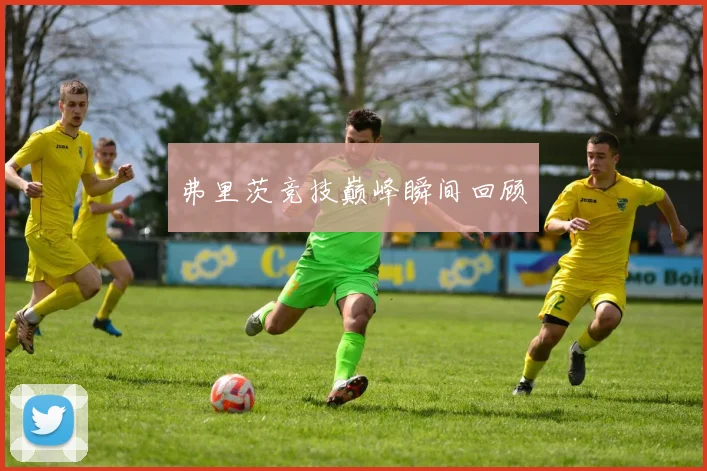 弗里茨竞技巅峰瞬间回顾