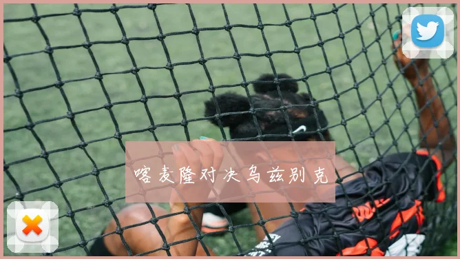 喀麦隆对决乌兹别克