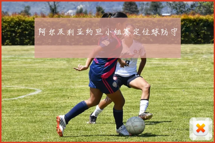 阿尔及利亚约旦小组赛定位球防守