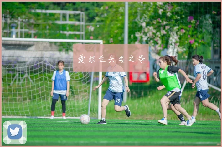 爱尔兰头名之争