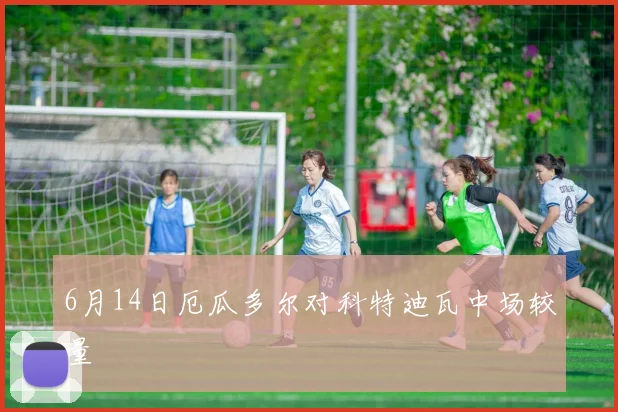 6月14日厄瓜多尔对科特迪瓦中场较量