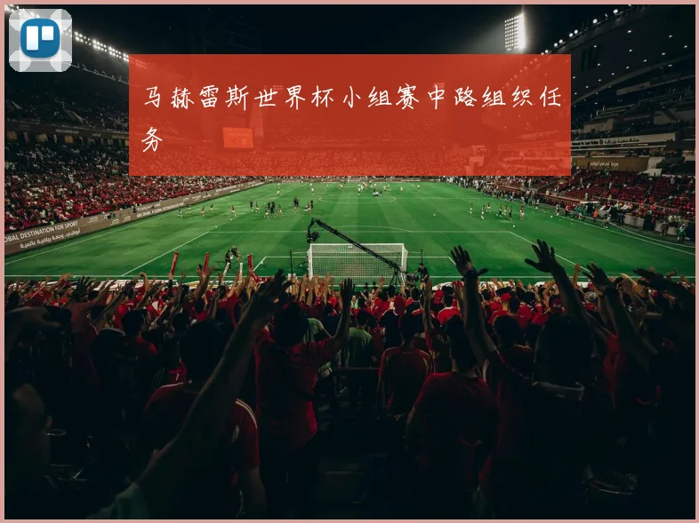 马赫雷斯世界杯小组赛中路组织任务