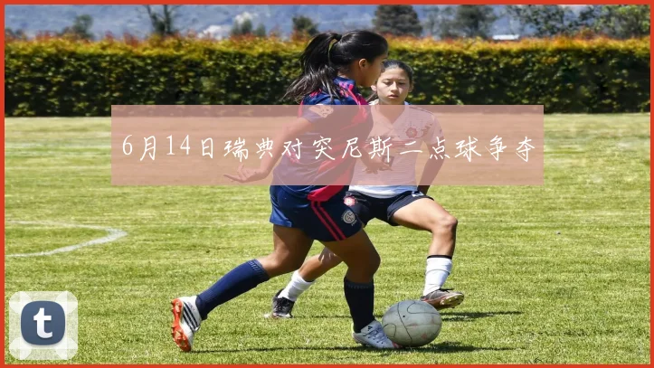 6月14日瑞典对突尼斯二点球争夺