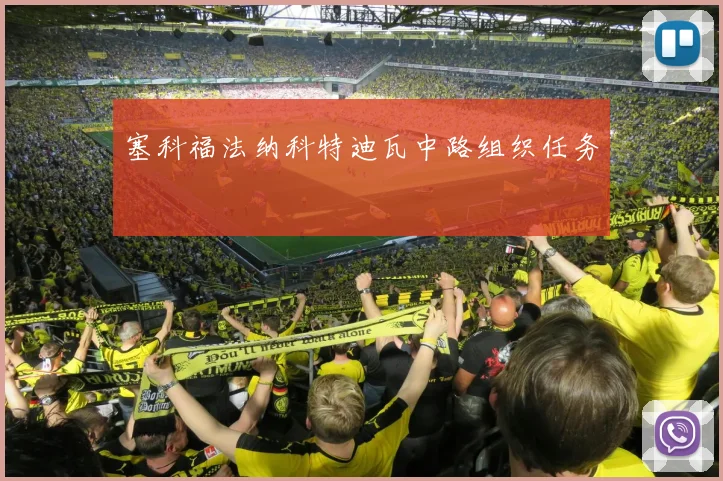 塞科福法纳科特迪瓦中路组织任务