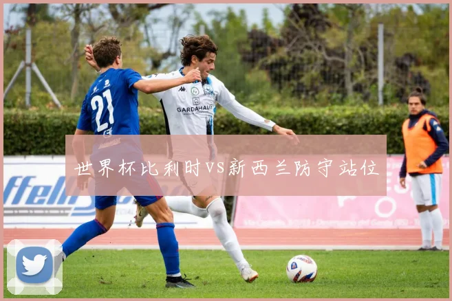 世界杯比利时vs新西兰防守站位