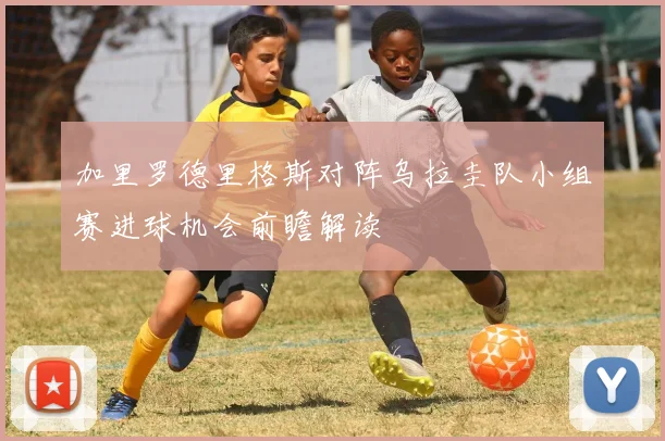 加里罗德里格斯对阵乌拉圭队小组赛进球机会前瞻解读