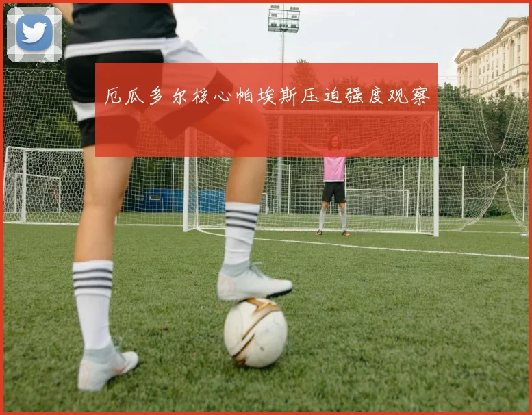 厄瓜多尔核心帕埃斯压迫强度观察