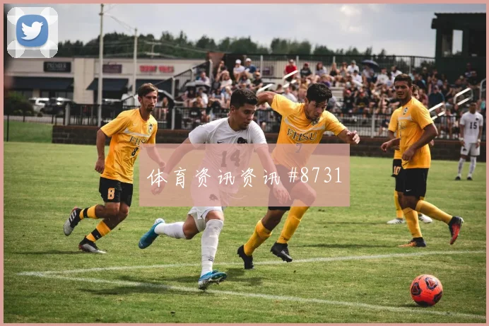 6月14日瑞典对突尼斯二点球争夺