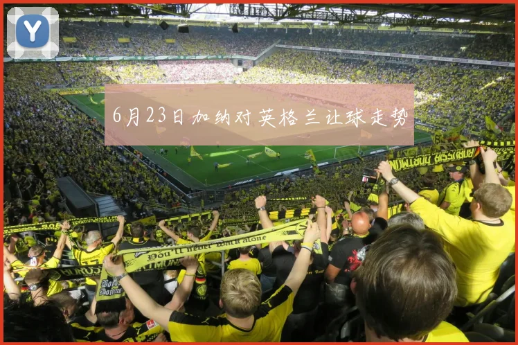 6月23日加纳对英格兰让球走势